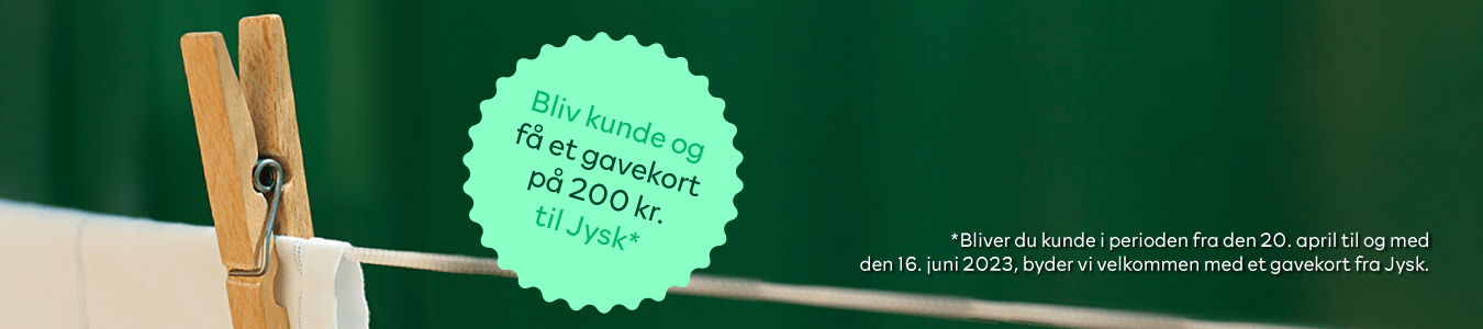Forårsrengøring