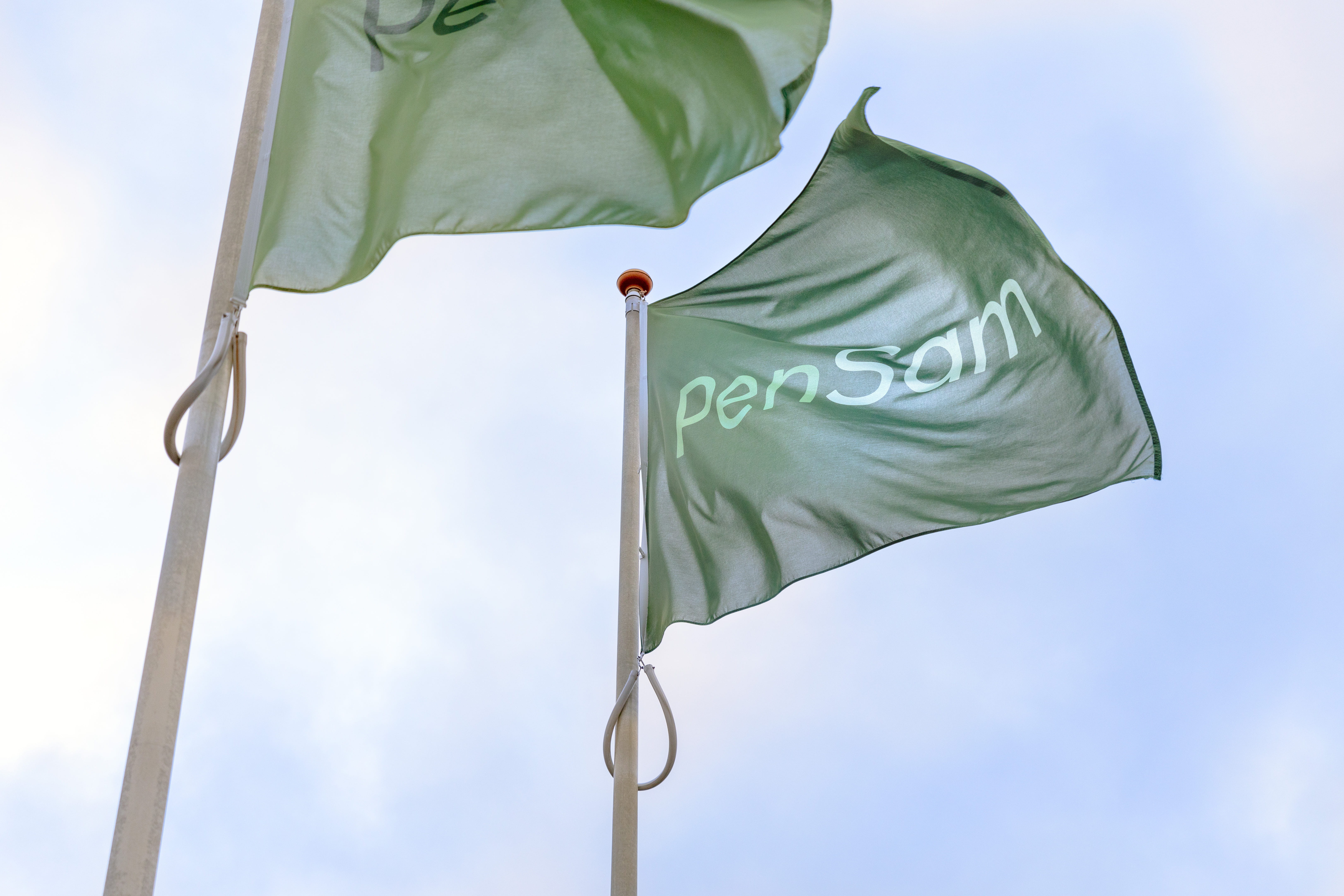 PenSam flag