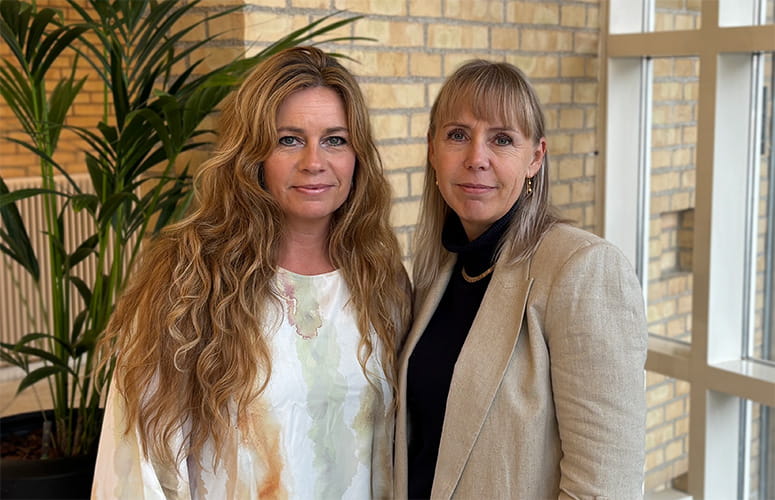 Webinar: Kend din sundhedsordning
